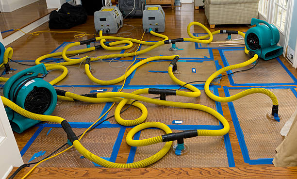 Professional Structural Drying And Dehumidification technician working in Lindsay, CA